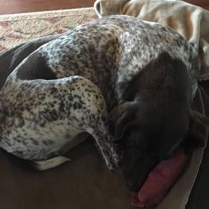 Meet your Posher, Elise